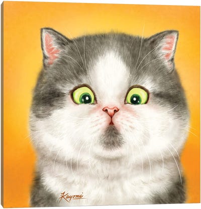 365 Days Of Cats: 127 Canvas Art Print - Kayomi Harai