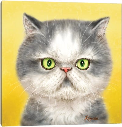 365 Days Of Cats: 132 Canvas Art Print - Kayomi Harai