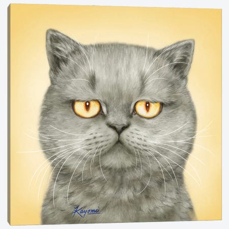 365 Days Of Cats: 165 Canvas Print #KYI59} by Kayomi Harai Canvas Print