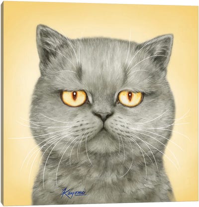 365 Days Of Cats: 165 Canvas Art Print - Kayomi Harai