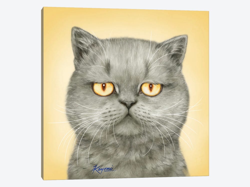 365 Days Of Cats: 165 by Kayomi Harai 1-piece Art Print