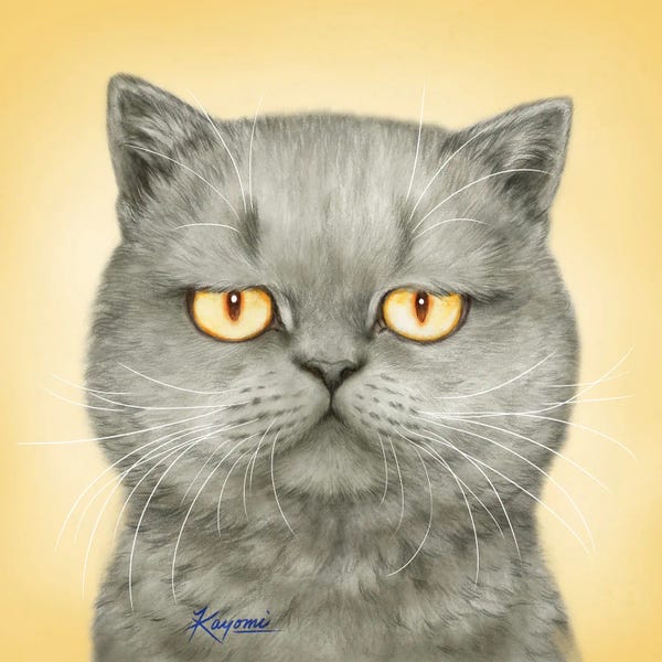 Kayomi Harai: 365 Days Of Cats: 165 by Kayomi Harai