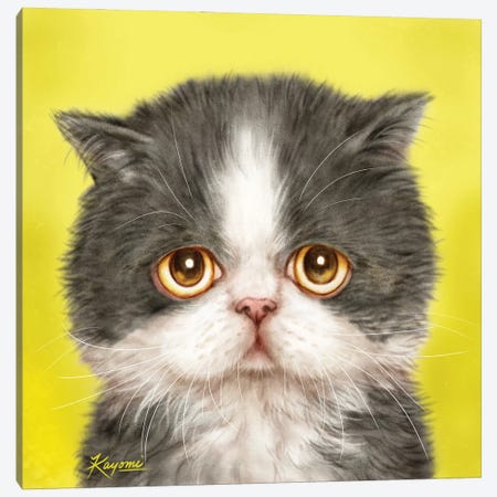 365 Days Of Cats: 175 Canvas Print #KYI63} by Kayomi Harai Canvas Artwork