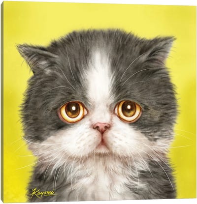365 Days Of Cats: 175 Canvas Art Print - Kayomi Harai