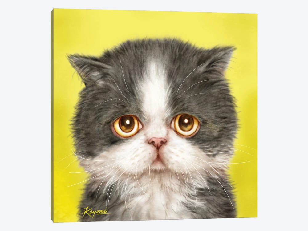 365 Days Of Cats: 175 by Kayomi Harai 1-piece Canvas Artwork
