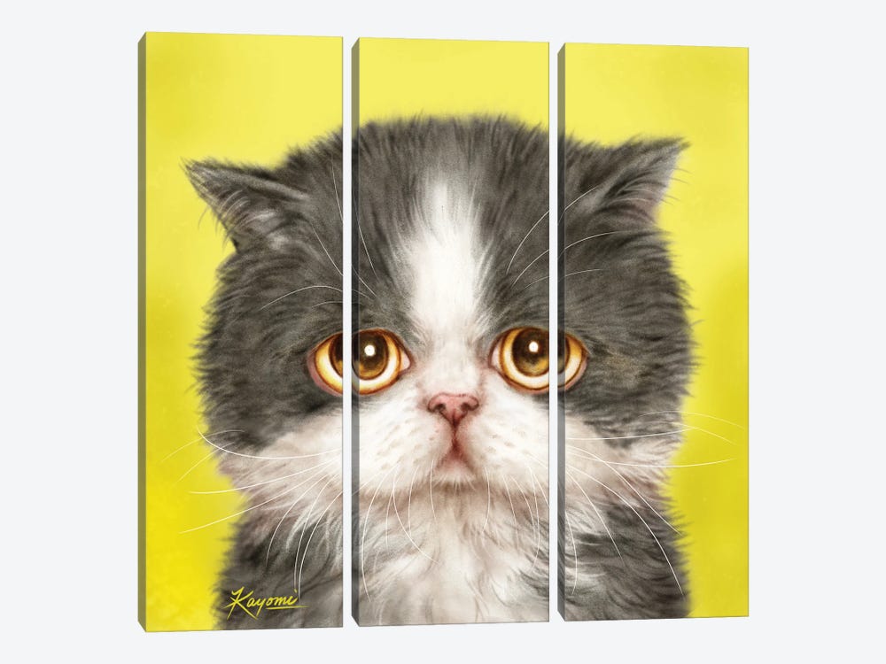 365 Days Of Cats: 175 by Kayomi Harai 3-piece Canvas Artwork