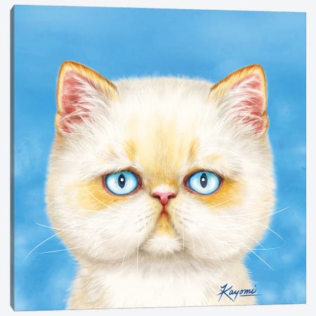 365 Days Of Cats: 6 Canvas Print #KYI6} by Kayomi Harai Canvas Print