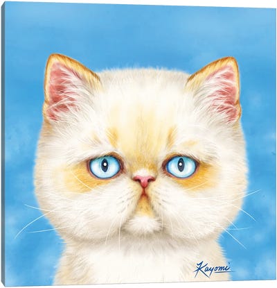 365 Days Of Cats: 6 Canvas Art Print - Kayomi Harai