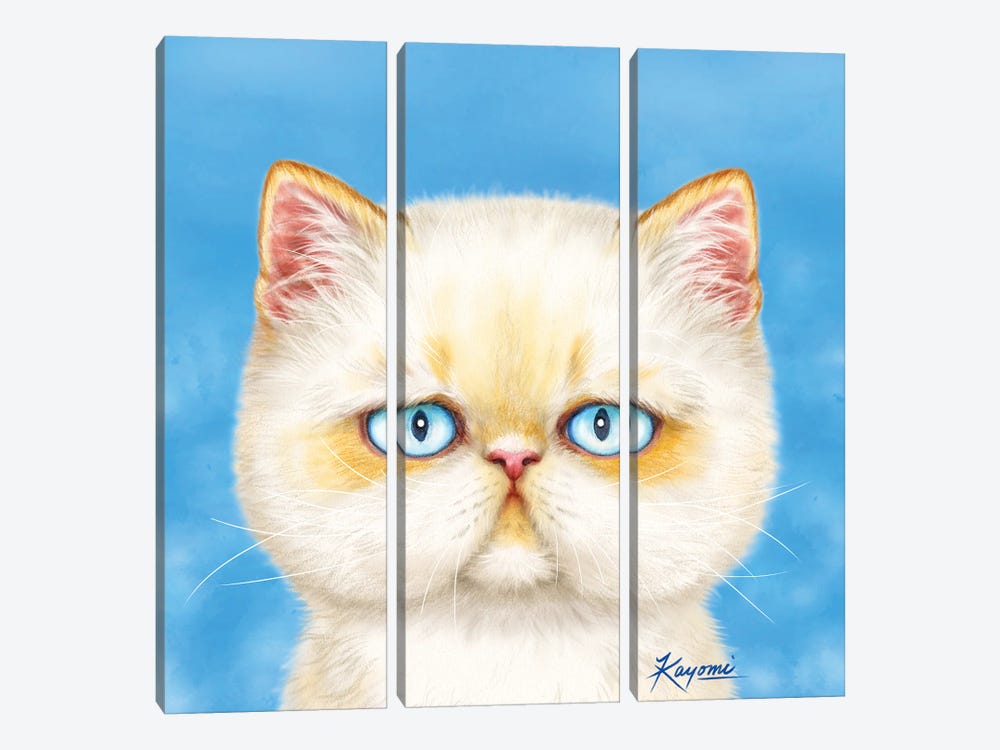 365 Days Of Cats: 6 by Kayomi Harai 3-piece Canvas Artwork