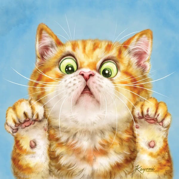 Kayomi Harai: 365 Days Of Cats: 206 by Kayomi Harai