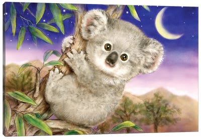 Baby Koala Canvas Art Print - Kayomi Harai