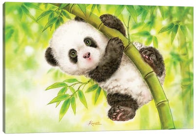 Baby Panda Canvas Art Print - Kayomi Harai