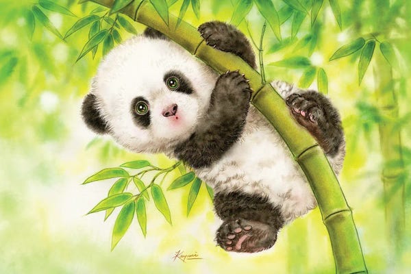 Pandas: Baby Panda by Kayomi Harai