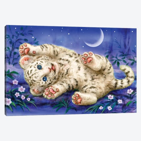 Baby White Tiger Canvas Print #KYI86} by Kayomi Harai Canvas Print