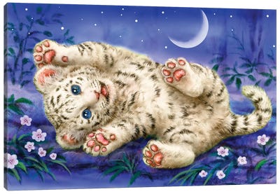 Baby White Tiger Canvas Art Print - Kayomi Harai