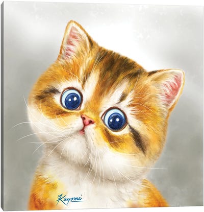 365 Days Of Cats: 12 Canvas Art Print - Kayomi Harai