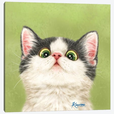365 Days Of Cats: 13 Canvas Print #KYI9} by Kayomi Harai Canvas Wall Art