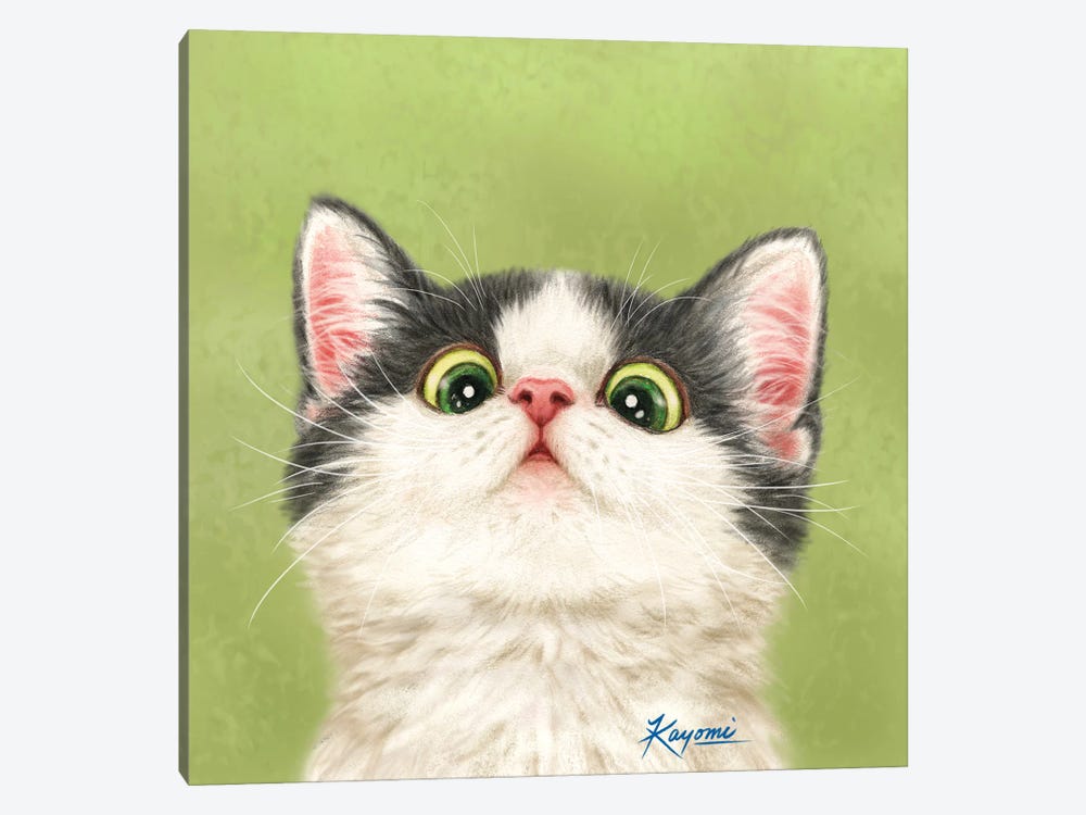 365 Days Of Cats: 13 by Kayomi Harai 1-piece Canvas Art Print