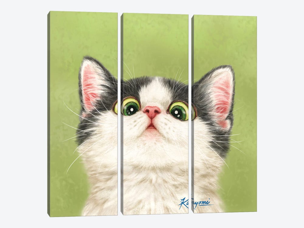 365 Days Of Cats: 13 by Kayomi Harai 3-piece Canvas Art Print