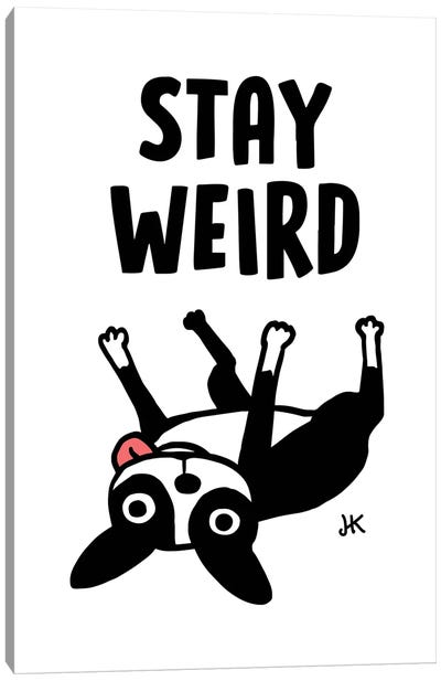 Funny Boston Terrier - Stay Weird Canvas Art Print - Jenn Kay