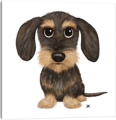 Wirehaired Dachshund Wild Boar And Tan Colored Teckel Canvas Art Print - Jenn Kay