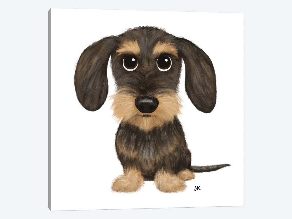 Wirehaired Dachshund Wild Boar And Tan Colored Teckel by Jenn Kay 1-piece Canvas Wall Art