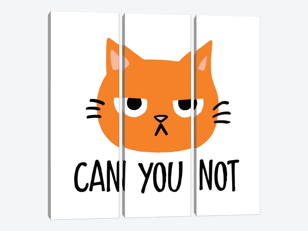 Can You Not - Annoyed Cat by Jenn Kay 3-piece Canvas Art