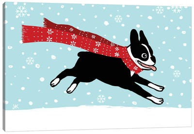 Winter Holiday Boston Terrier With Scarf Canvas Art Print - Jenn Kay