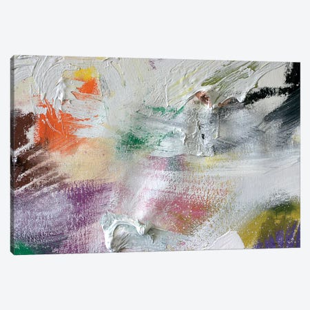 Color VII Canvas Print #KYO14} by Kent Youngstrom Canvas Art