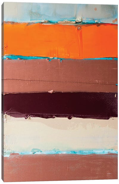 Orange Is The New Stripe I Canvas Art Print - Kent Youngstrom