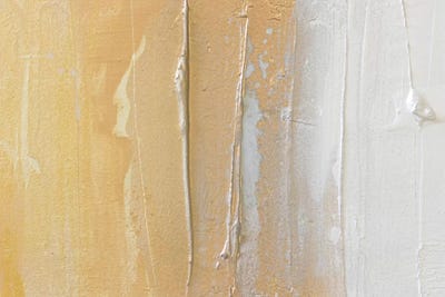 Gold Dust II by Kent Youngstrom canvas print