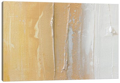 Gold Dust II Canvas Art Print - Seasonal Glam