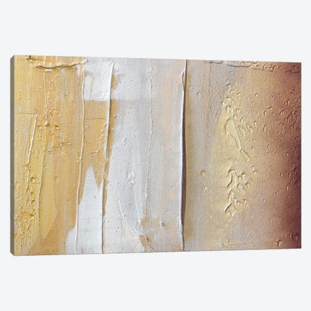 Gold Dust IV Canvas Print #KYO310} by Kent Youngstrom Canvas Print