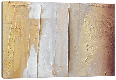 Gold Dust IV Canvas Art Print - Seasonal Glam