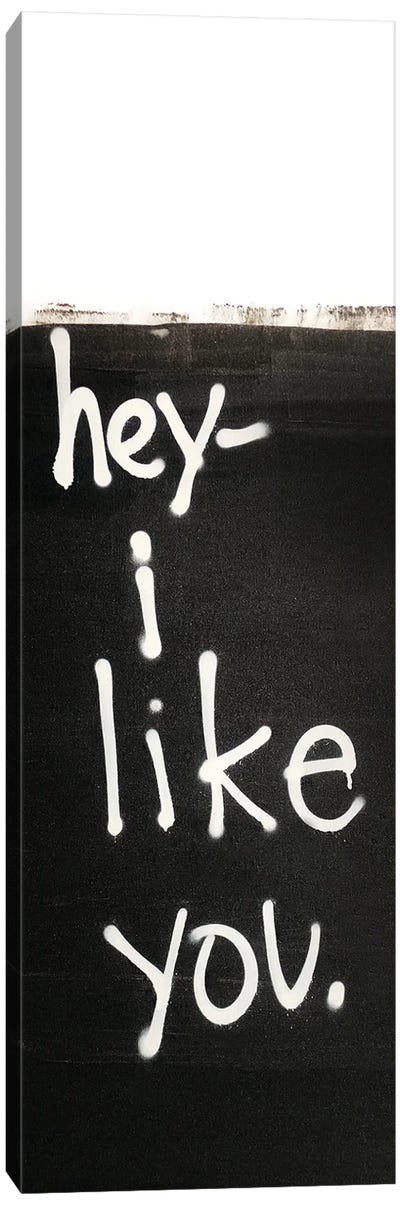 Hey I Like You Canvas Art Print - Kent Youngstrom