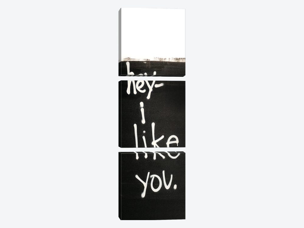 Hey I Like You by Kent Youngstrom 3-piece Art Print