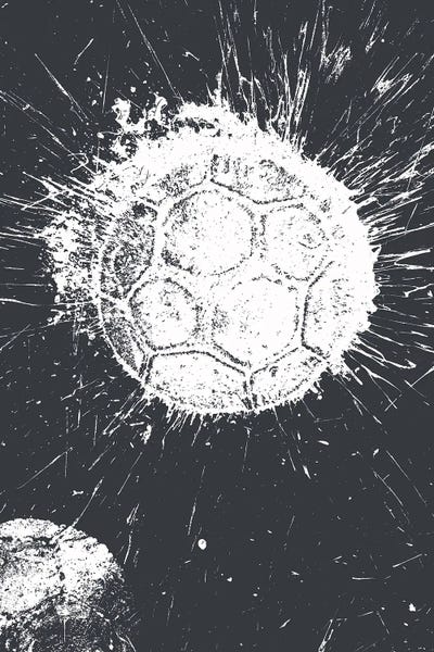 Sports: Soccer by Kent Youngstrom