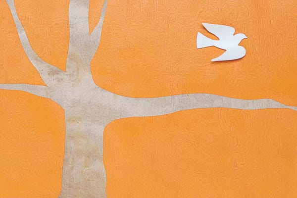 Doves & Pigeons: Lone Dove On Orange by Kent Youngstrom