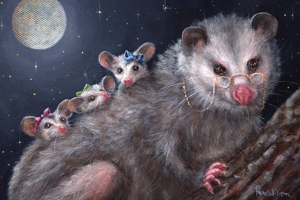 Possums: Georgette by Kyra Wilson