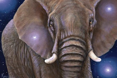 Elephant And Fireflies by Kyra Wilson framed canvas print