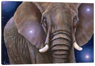Elephant And Fireflies Canvas Art Print - Kyra Wilson
