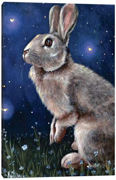 Rabbit And Fireflies Canvas Art Print - Firefly Art