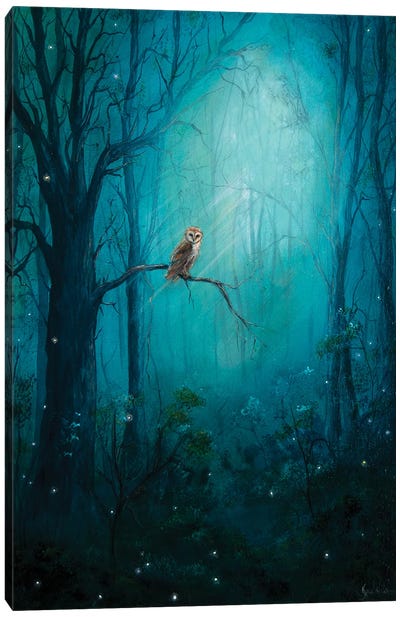 Forest Owl Canvas Art Print - Owl Art