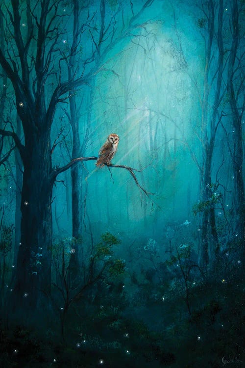 Forest Owl