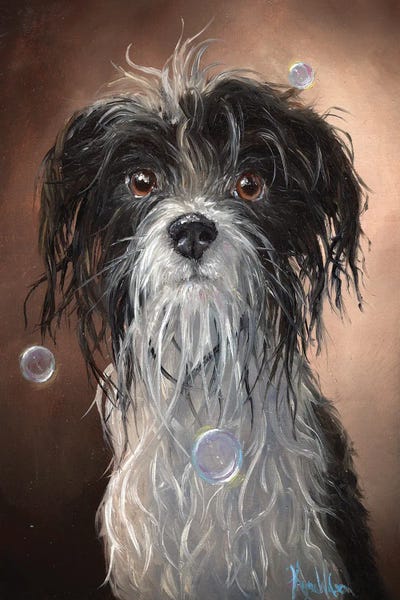 Terriers: Wet Dog by Kyra Wilson