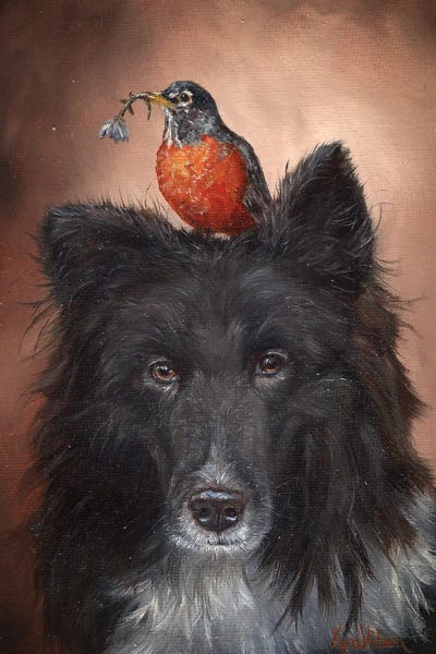 Shetland Sheepdogs: Dog And Robin by Kyra Wilson