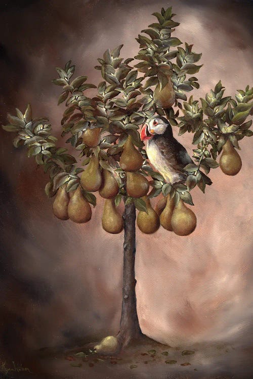 Puffin In A Pear Tree