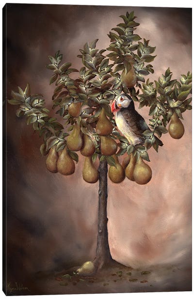 Puffin In A Pear Tree Canvas Art Print - Kyra Wilson
