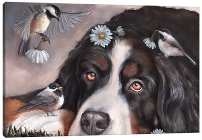 You Never Bring Me Flowers Canvas Art Print - Daisy Art