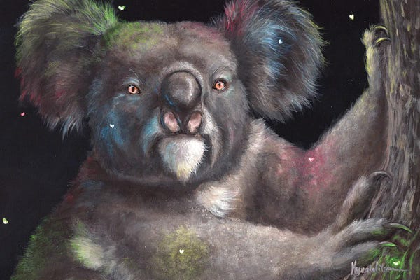 Koalas: Theodore by Kyra Wilson